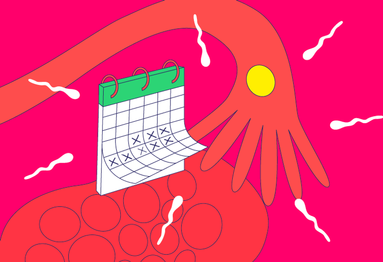 Quelles Sont Les Méthodes Contraceptives Naturelles ?