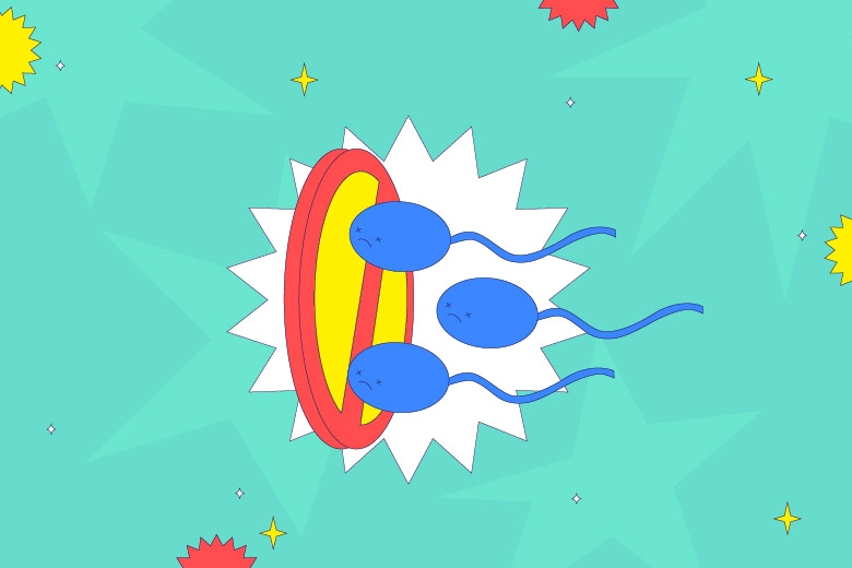 Comment fonctionnent les méthodes contraceptives ?